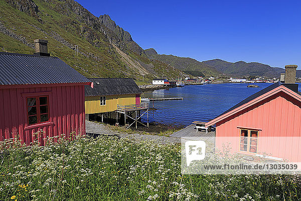 Fischerhütten (Rorbuer)  Fischerdorf Ballstad  Lofoten-Inseln  Bezirk Nordland  Arktis  Norwegen  Skandinavien