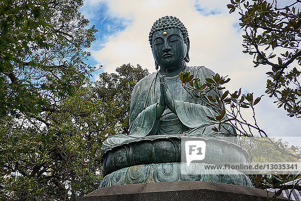 Bronze Buddha at Tennoji Temple  Yanaka  Tokyo  Japan