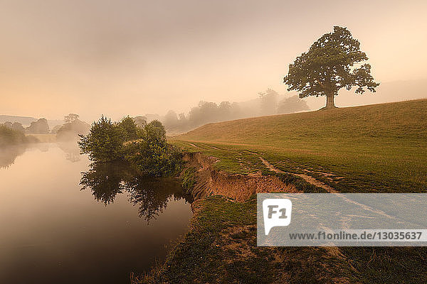 Frühherbst (Herbst) Nebel  Dämmerung  Fluss Derwent  Chatsworth Park  Peak District National Park  Chesterfield  Derbyshire  England  Vereinigtes Königreich