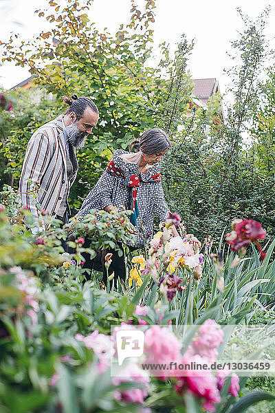 Couple picking flowers from garden