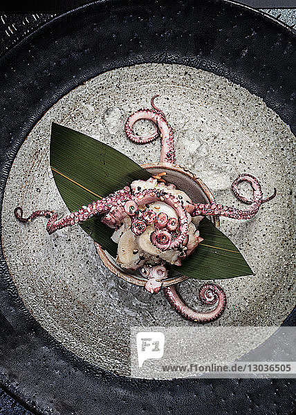 Fresh octopus presented in bowl with seed garnish  still life  overhead view