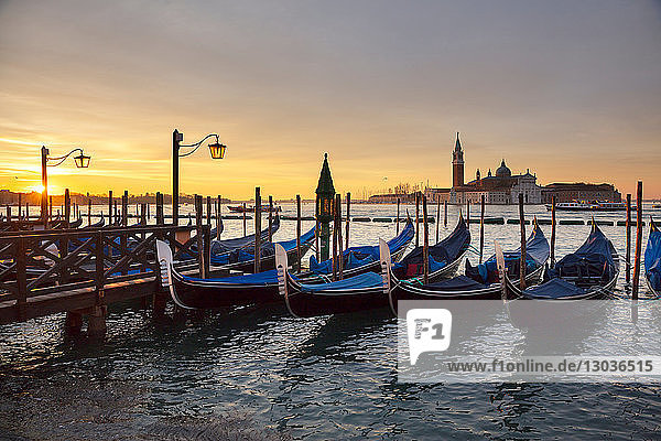 Gondeln am Markusplatz bei Sonnenaufgang  Venedig  Venetien  Italien