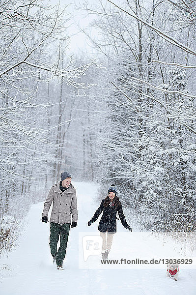 Junges Paar beim Hundespaziergang im verschneiten Wald  Ontario  Kanada