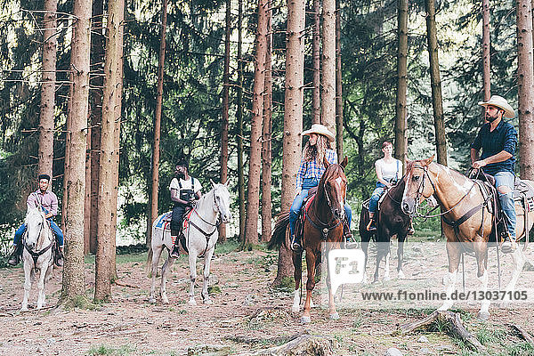 Fünf junge Erwachsene reiten im Wald  Primaluna  Trentino-Südtirol  Italien