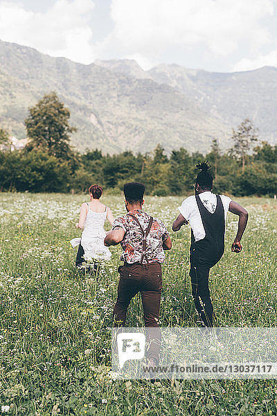 Junge erwachsene Freunde laufen durch eine Wildblumenwiese  Rückansicht  Primaluna  Trentino-Südtirol  Italien