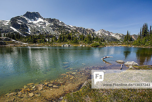 Entfernte Ansicht einer Frau  die in einen See taucht â€ Pemberton  British Columbia  Kanada
