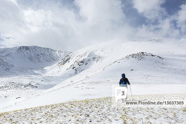 Rear view shot of a person ski mountaineering in winter  Mt. Elbert  Colorado  USA