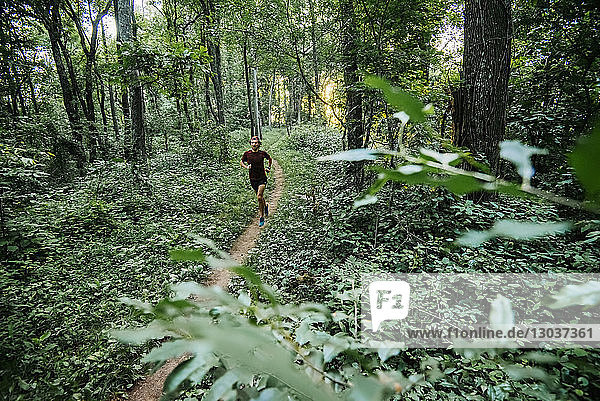 Vorderansicht eines Mannes  der im Wald joggt  entlang des Mountain to Sea Trail  Asheville  North Carolina  USA