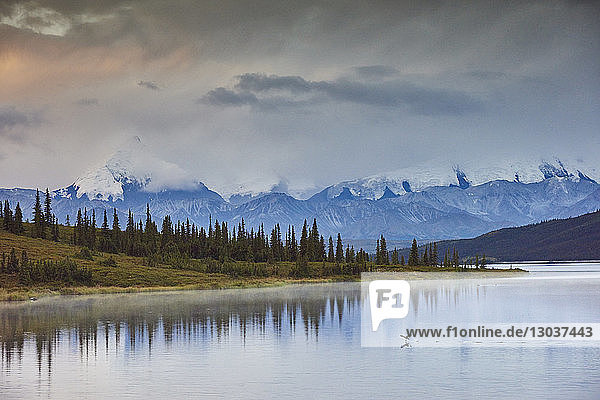 Landschaft mit Blick auf den Wonder Lake und die Berge der Alaska Range  Denali National Park  Alaska  USA