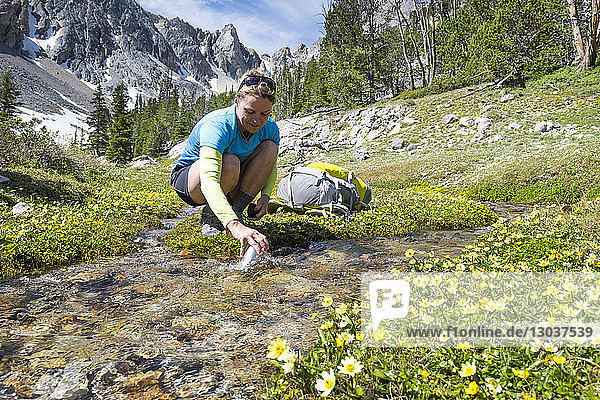 A woman filling a water bottle in a creek while camping in the Merriam Lake Basin  Upper Pashimeroi Valley  Lost River Range  Challis  Idaho  USA