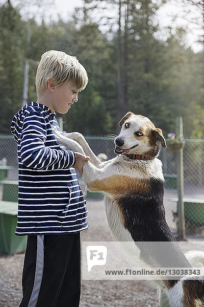 Seitenansicht eines Jungen  der mit einem Hund spielt  während er im Banff-Nationalpark steht