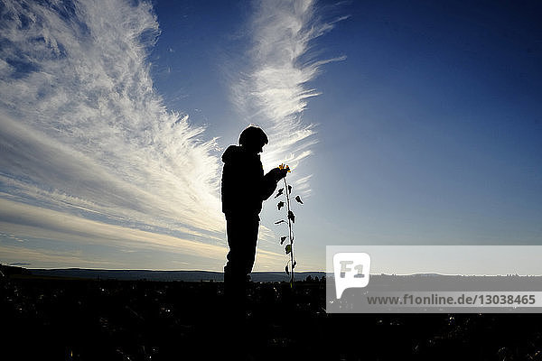 Scherenschnitt Mann hält Sonnenblume auf Feld gegen bewölkten Himmel