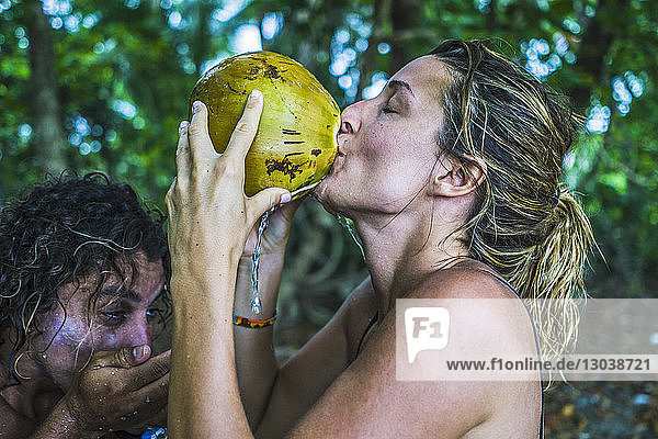 Seitenansicht eines Paares  das im Wald aus frischer Kokosnuss trinkt
