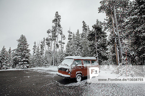 Schneebedeckter Lieferwagen auf Feld gegen Bäume