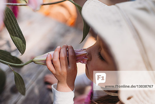 High angle view of girl smelling lily