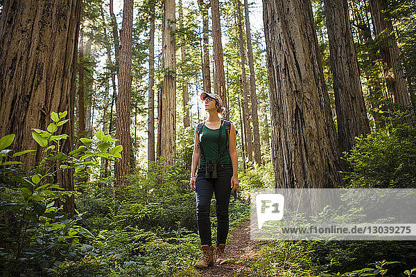 Female hiker exploring forest at Redwood National and State Parks