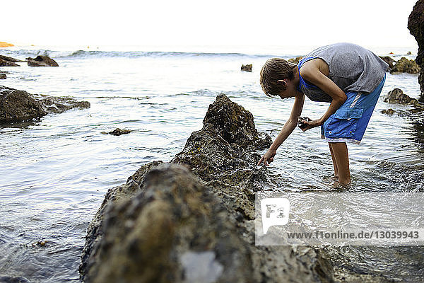 Seitenansicht eines Jungen beim Muschelsammeln am Laguna Beach