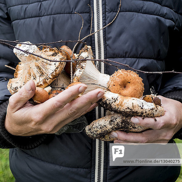 Midsection of woman holding mushrooms