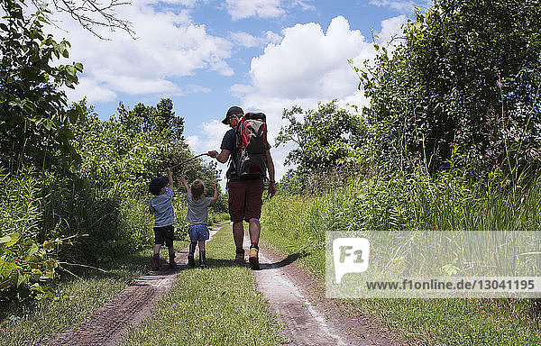 Rear view of father hiking with children in forest