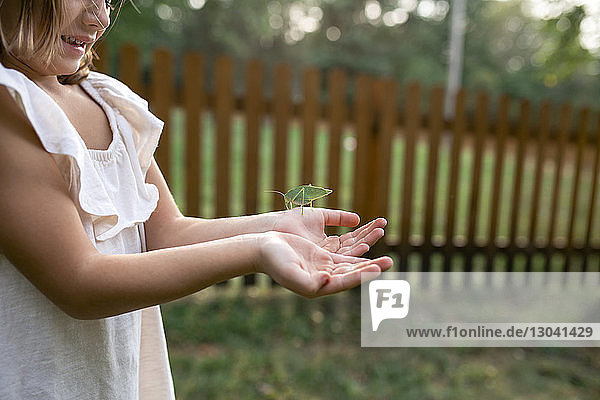 Midsection of girl holding katydid against fence at park