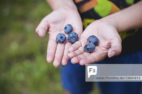 Midsection of boy holding blueberries while standing at field