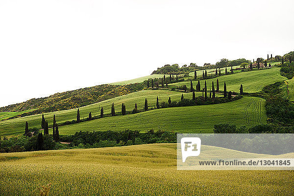 Scenic view of landscape against clear sky