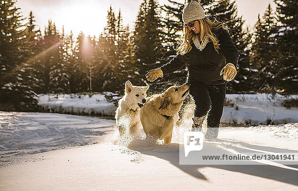 Lächelnde Frau mit Hunden geht auf schneebedecktem Feld im Wald