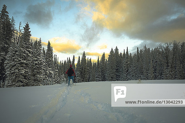 Rückansicht eines Wanderers beim Skifahren auf schneebedecktem Feld gegen den Himmel