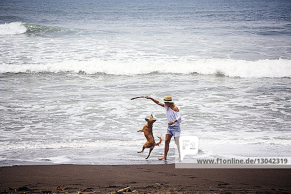 Glückliche Frau spielt mit Hund am Strand