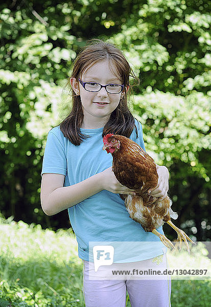 Porträt eines Mädchens  das ein Huhn hält  während es auf einem Grasfeld steht