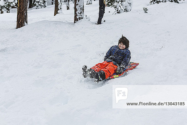 Boy tobogganing on snow covered field in forest