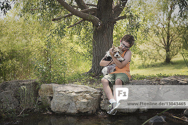 Junge mit Yorkshire Terrier sitzt auf einem Felsen am Teich im Park