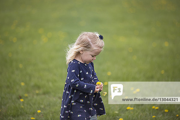 Süßes Mädchen hält Blumen  während es im Park auf dem Feld steht