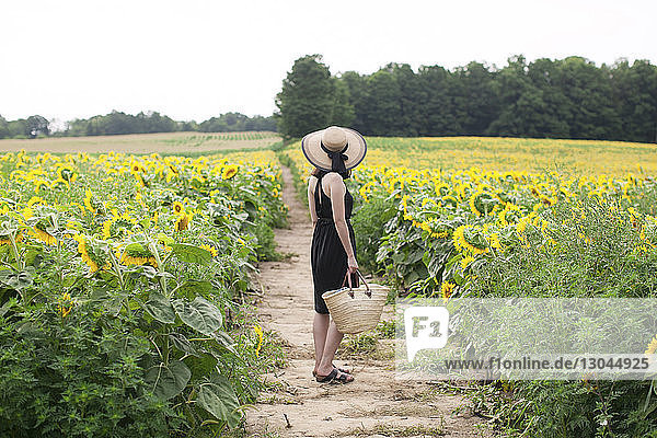 Seitenansicht einer Frau  die einen Korb hält  während sie auf dem Feld inmitten von Sonnenblumen auf dem Bauernhof steht