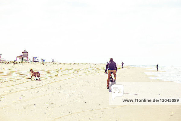 Rear view of man riding bicycle at beach against clear sky