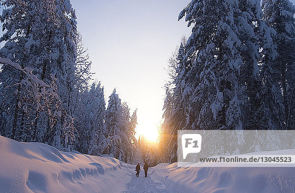 Rückansicht von Männern  die bei Sonnenuntergang auf einem schneebedeckten Feld inmitten von Bäumen stehen