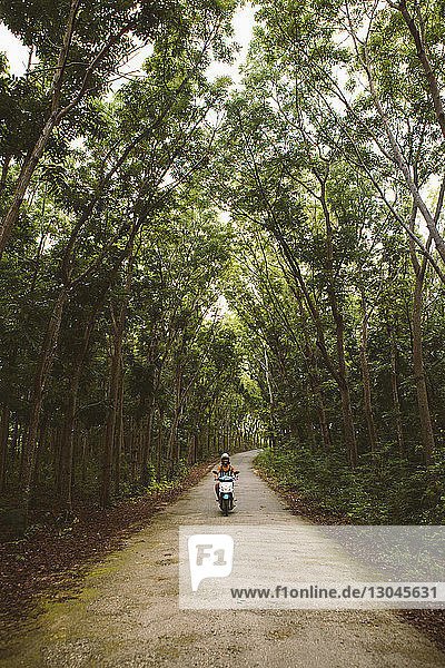 Mann fährt Motorroller auf der Straße inmitten von Bäumen im Wald
