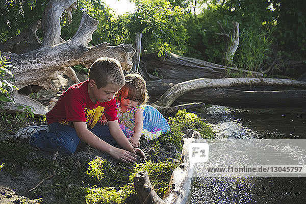 Siblings playing by stream in forest