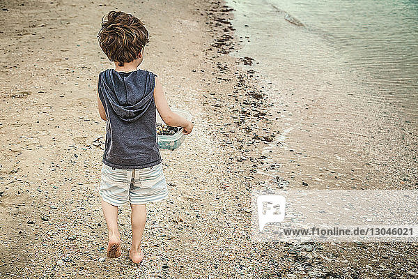 Rear view of boy carrying bowl with pebbles while walking at beach