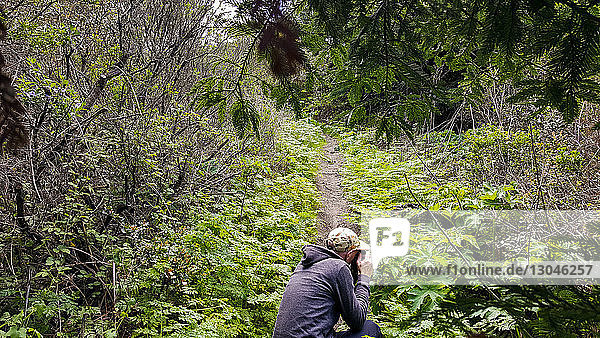 Rear view of man photographing plants in forest