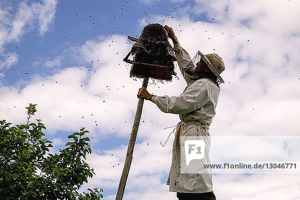 Niedrigwinkelansicht eines Imkers  der bei bewölktem Himmel Honig aus dem Bienenstock entfernt