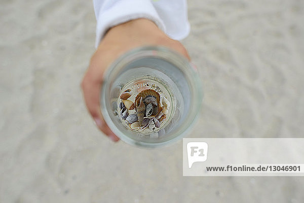 Draufsicht auf ein Mädchen  das am Strand ein Glas mit Muscheln in der Hand hält