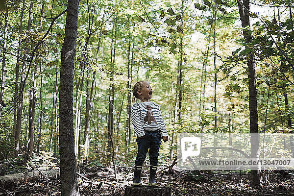 Playful girl shouting while standing on tree stump amidst forest