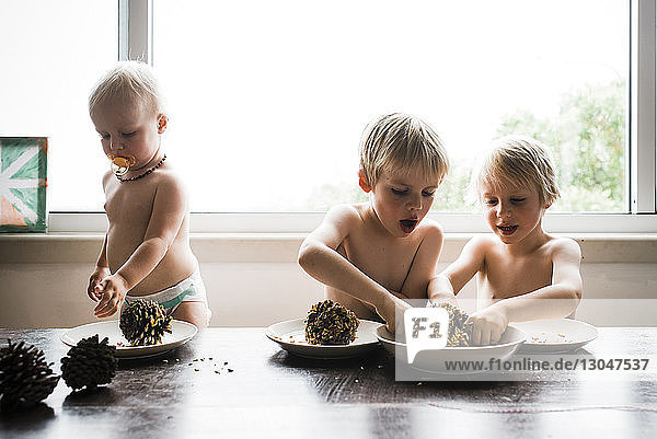 Shirtless brothers fighting for pine cones in bowl while sister sucking pacifier at home