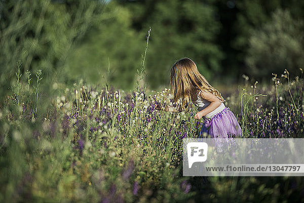 Side view of girl picking flowers on field