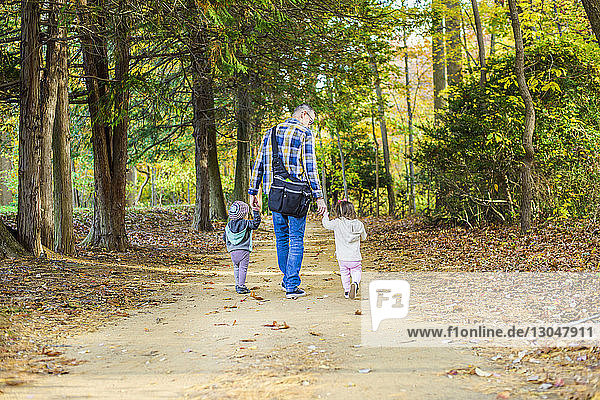 Rückansicht eines Vaters mit Töchtern  die im Wald spazieren gehen