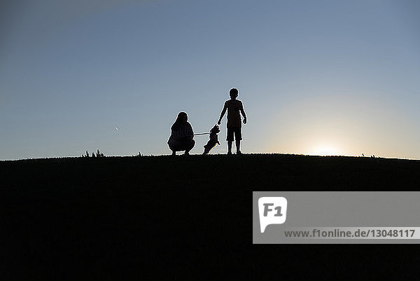 Scherenschnittgeschwister spielen mit Hund an Land gegen den klaren Himmel bei Sonnenuntergang