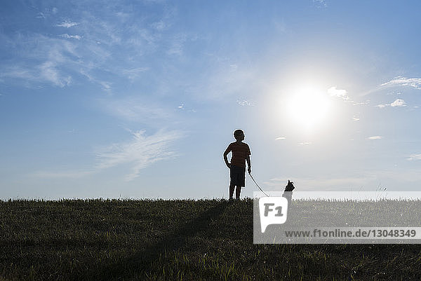 Junge mit Hund auf Grasfeld gegen den Himmel bei sonnigem Wetter
