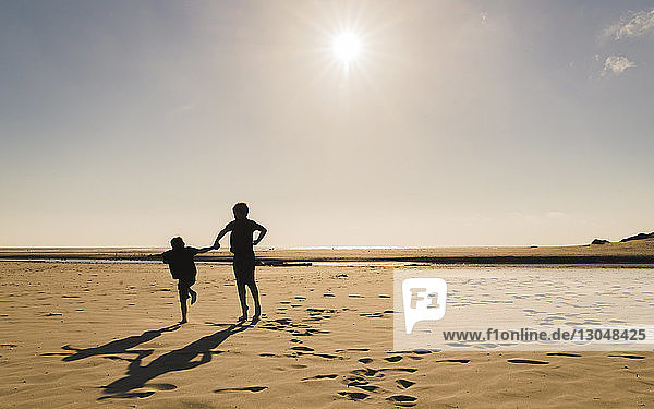 Silhouette brothers jumping at beach against sky during sunny day
