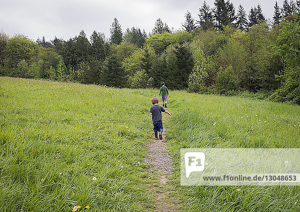 Rear view of brothers walking on trail amidst grassy field against sky